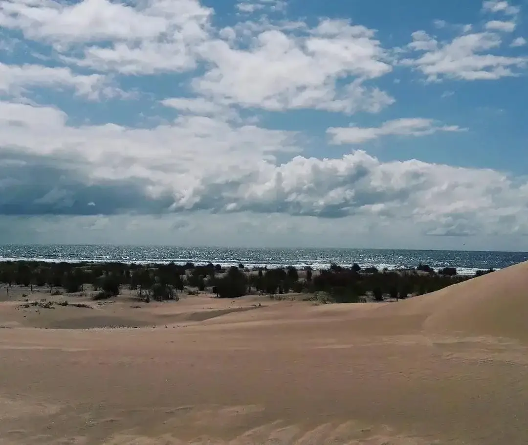 ¡Chacra Frente al Mar con Médanos y Amplias Playas – Las Toninas!