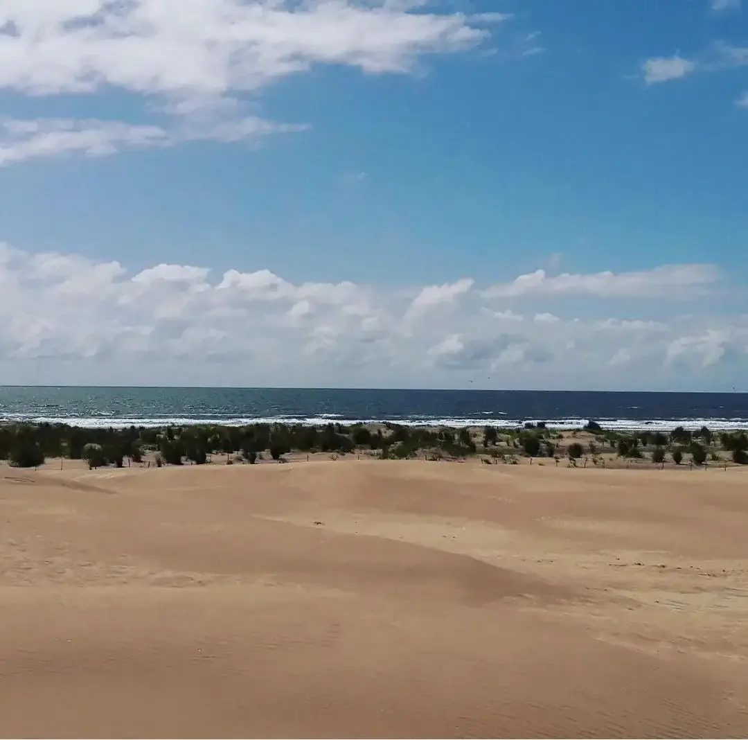 ¡Chacra Frente al Mar con Médanos y Amplias Playas – Las Toninas! - Imagen 5