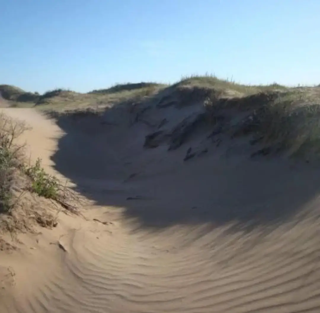 ¡Chacra Frente al Mar con Médanos y Playas Amplias – Las Toninas! - Imagen 7