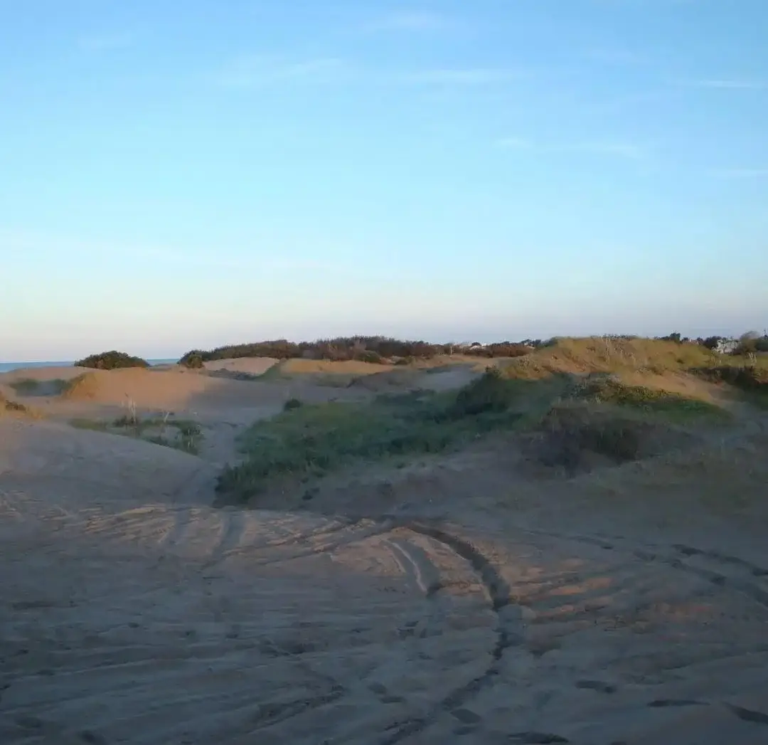 ¡Chacra Frente al Mar con Médanos y Playas Amplias – Las Toninas! - Imagen 8