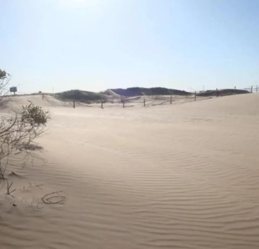 ¡Chacra Frente al Mar con Médanos y Playas Amplias – Las Toninas! - Imagen 11