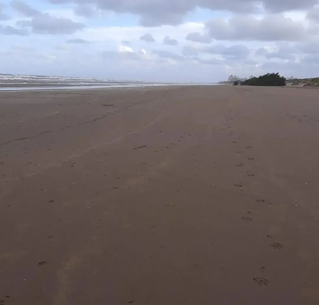 ¡Chacra Frente al Mar con Médanos y Playas Amplias – Las Toninas! - Imagen 13