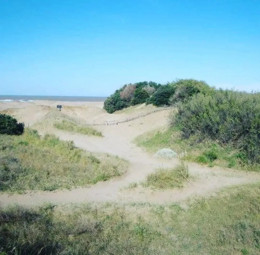 ¡Chacra frente al mar! – Circunvalación Norte, Las Toninas - Imagen 4