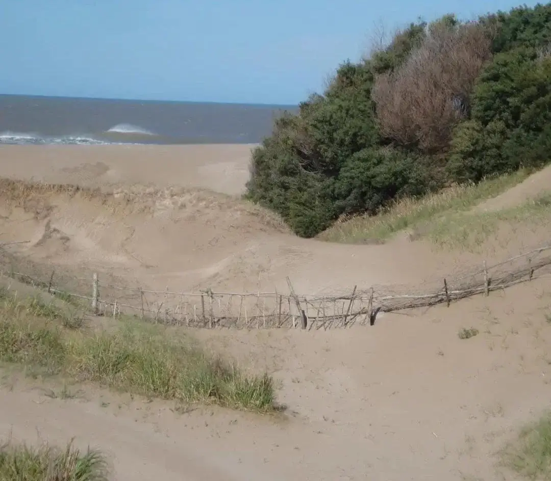 ¡Chacra frente al mar! – Circunvalación Norte, Las Toninas - Imagen 5