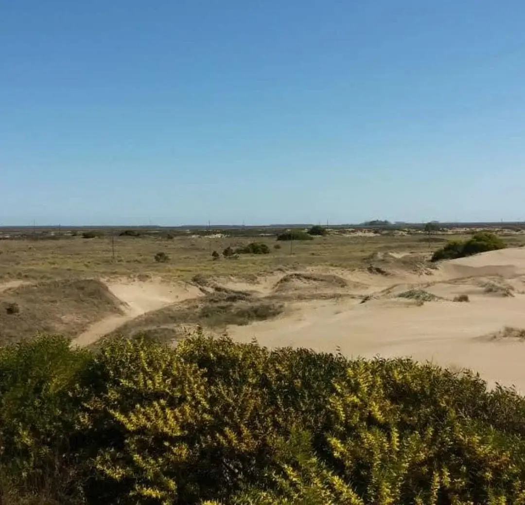 ¡Chacra frente al mar! – Circunvalación Norte, Las Toninas - Imagen 6