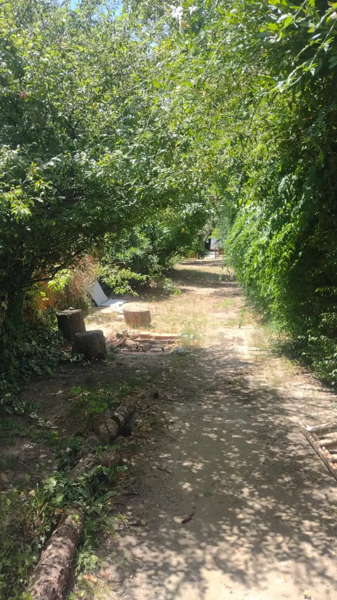 Casa en Venta – Calle 36 N° 854 e/ 8 y 9, Santa Teresita - Imagen 8