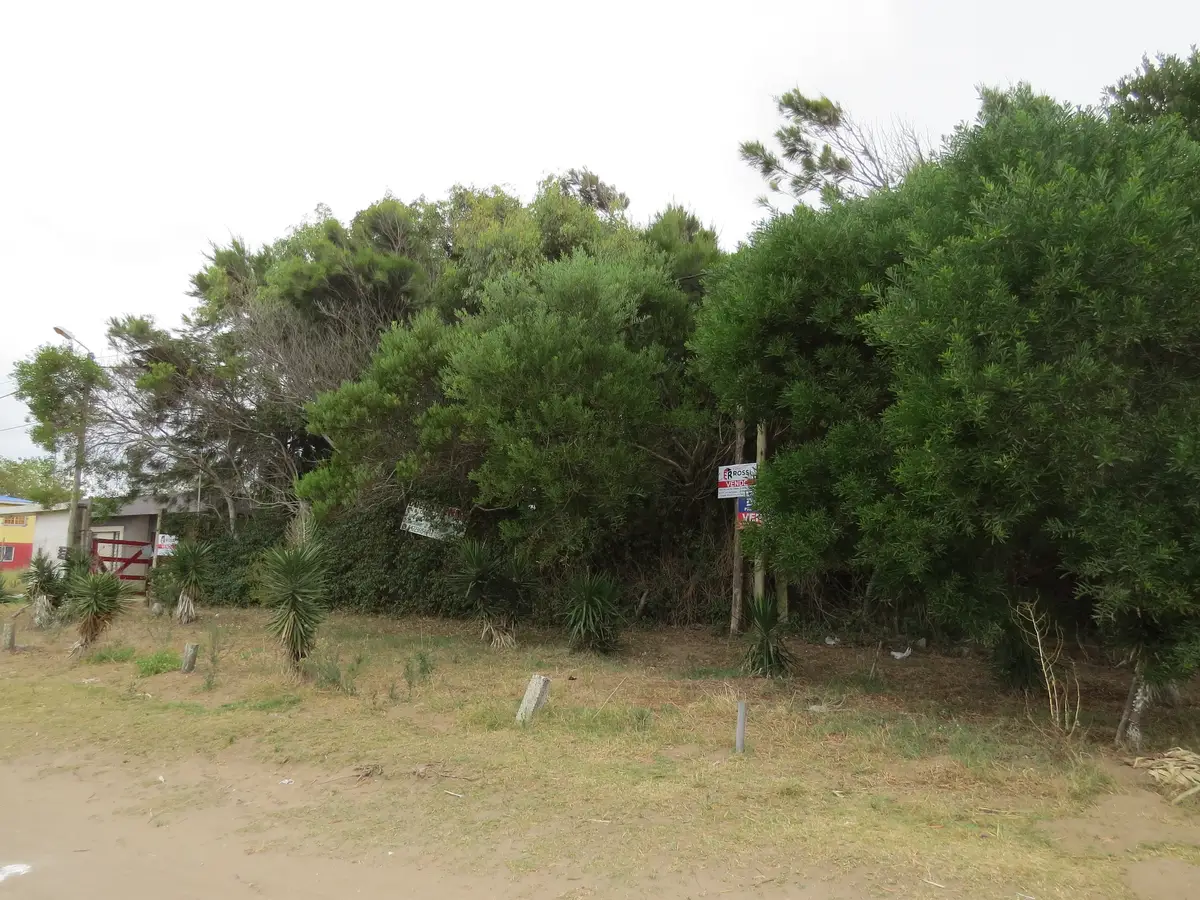 Lote en Costa Chica Frente a los Médanos – Calle 58 N°197, Las Toninas - Imagen 3