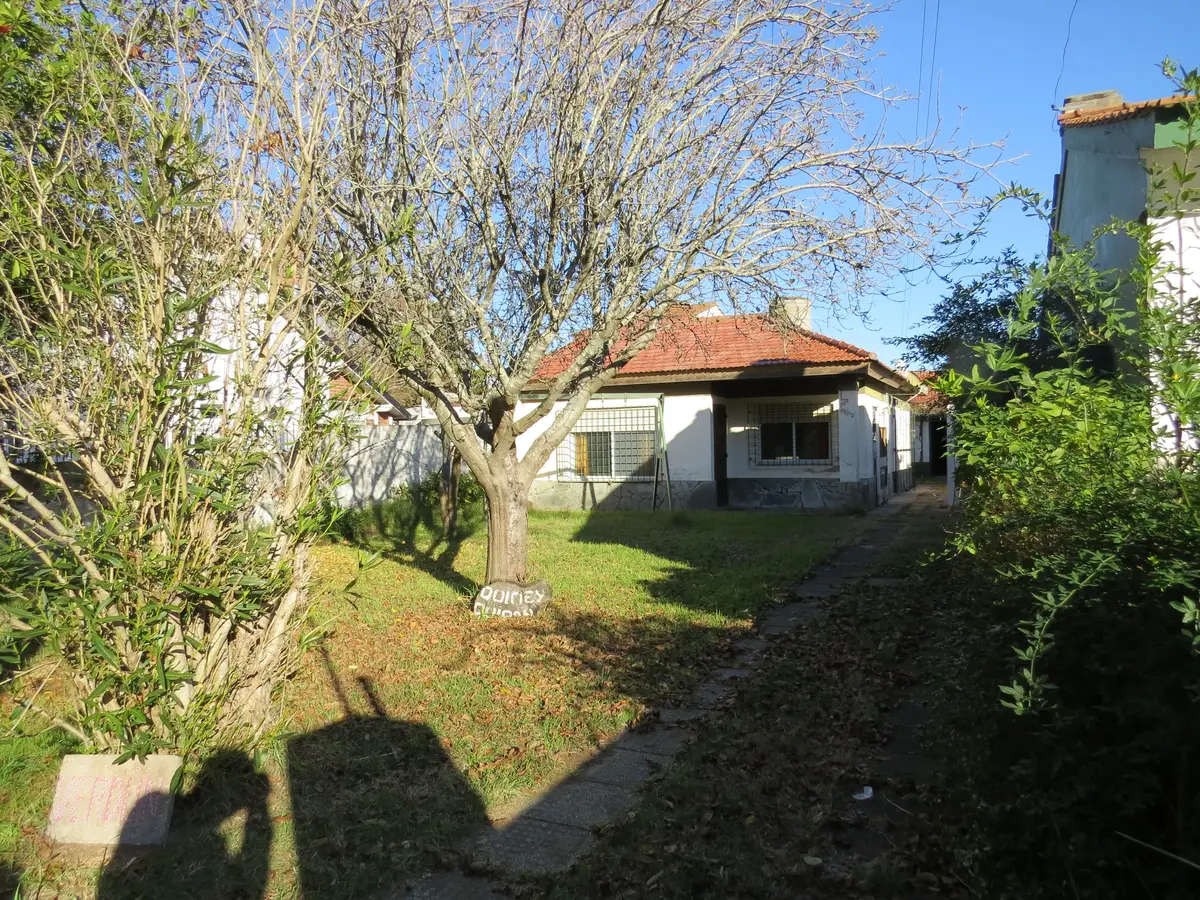 l - Imagen 1