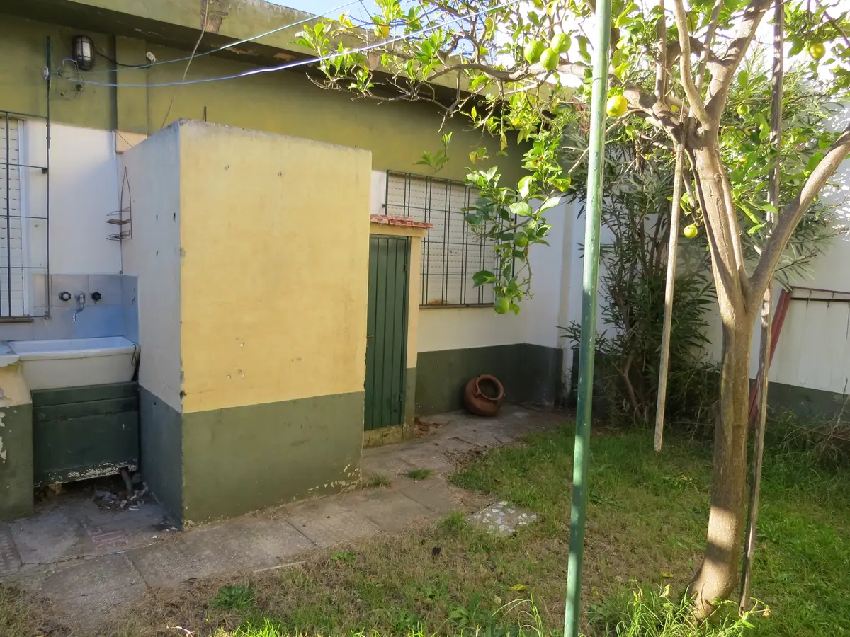 l - Imagen 13
