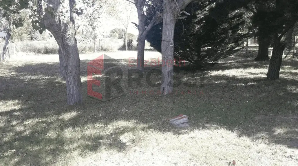 Chalet con Parque  y 3 Dormitorios – Calle 54 N° 978, Costa Chica - Imagen 8
