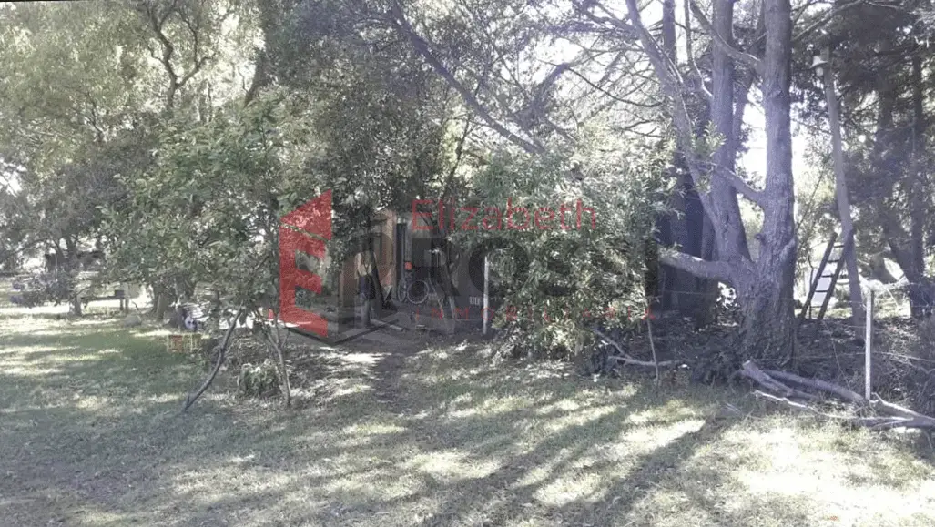 Chacra con Parque y Quincho – Frente a Ruta 11, Las Toninas - Imagen 6