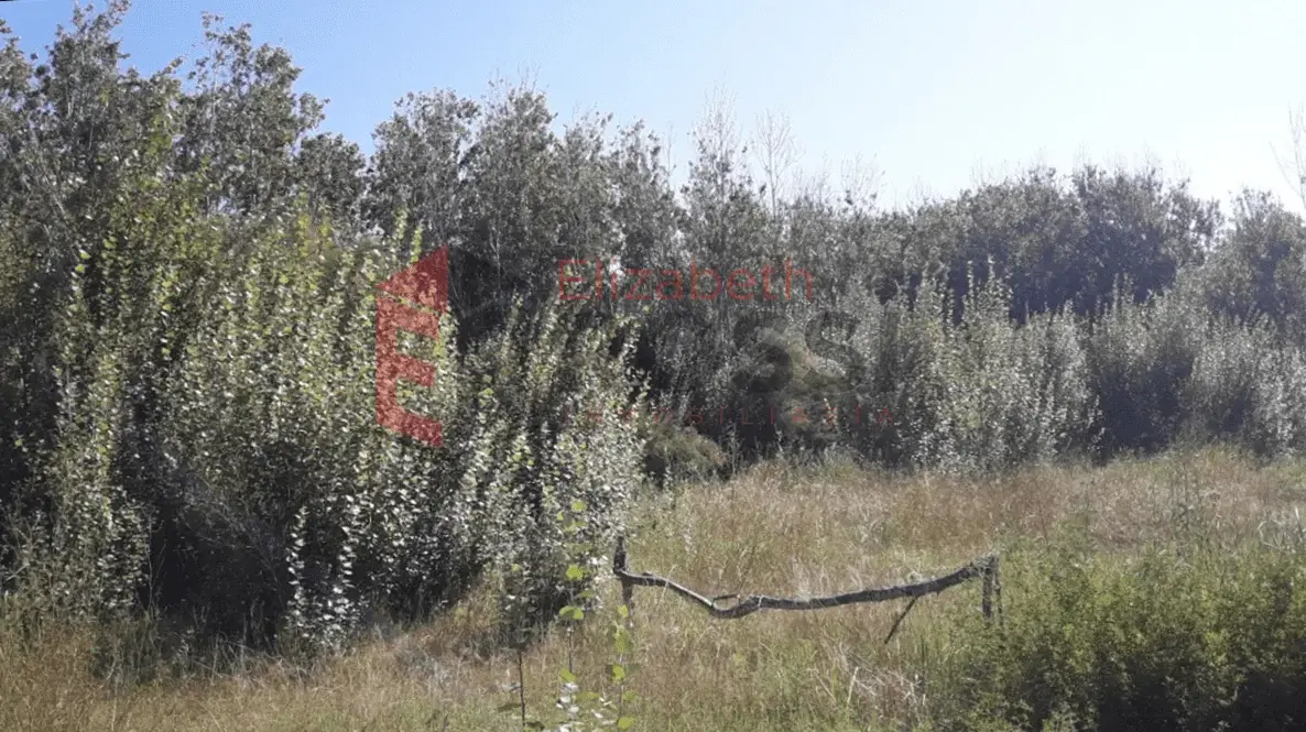 ¡Oportunidad! Lote amplio – Calle 17 e/ 14 y 16, Las Toninas