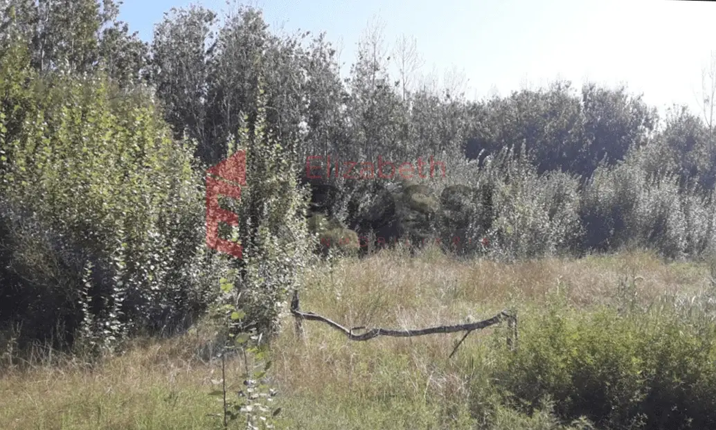 ¡Oportunidad! Lote amplio – Calle 17 e/ 14 y 16, Las Toninas - Imagen 2