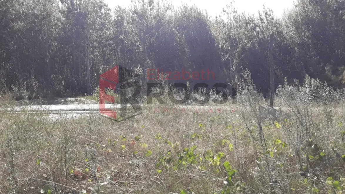 ¡Oportunidad! Lote amplio – Calle 17 e/ 14 y 16, Las Toninas - Imagen 1