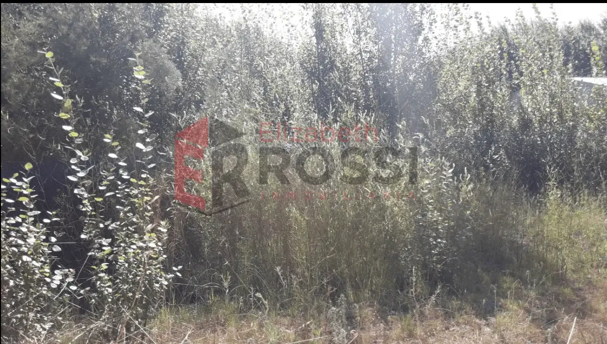 ¡Oportunidad! Lote amplio – Calle 17 e/ 14 y 16, Las Toninas - Imagen 2