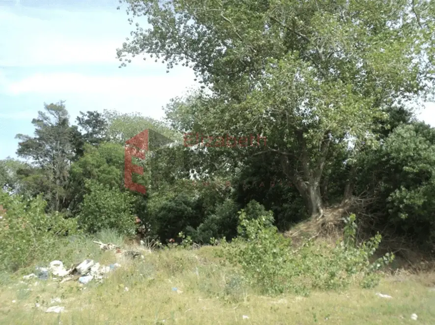 ¡Escucha propuesta! Lote baldío – Calle 11 e/14 y 16, Las Toninas