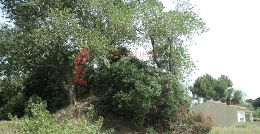 ¡Escucha propuesta! Lote baldío – Calle 11 e/14 y 16, Las Toninas - Imagen 2