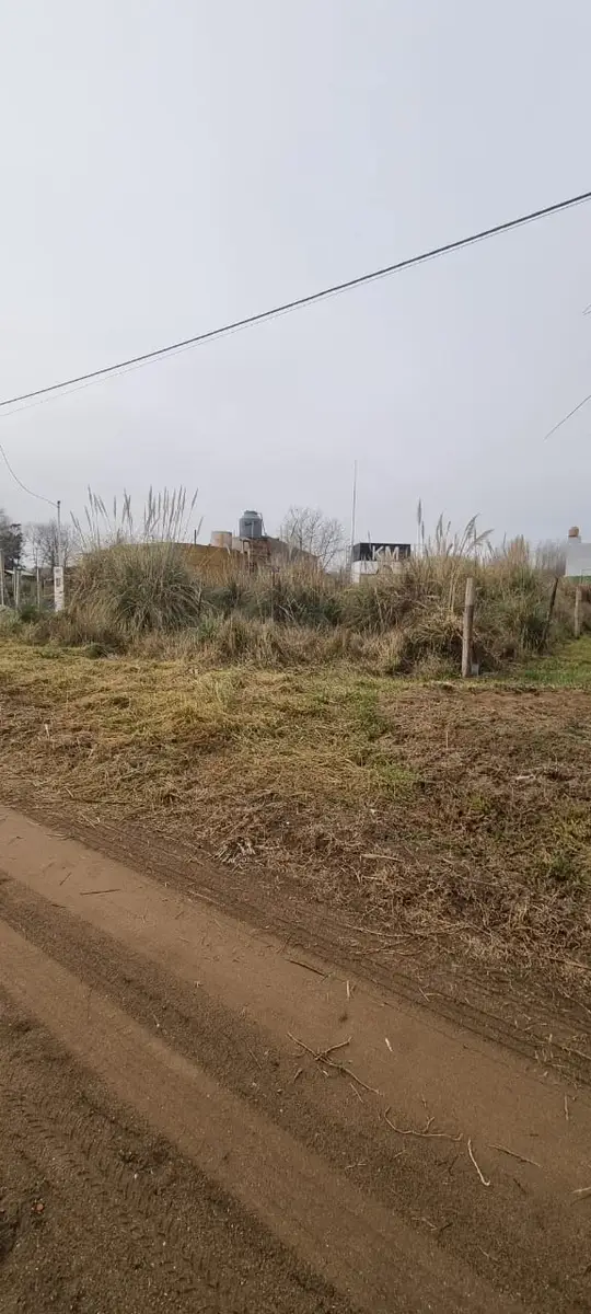 ¡Oportunidad! Lote baldío – Av. 31 e/22 y 24, Las Toninas - Imagen 2
